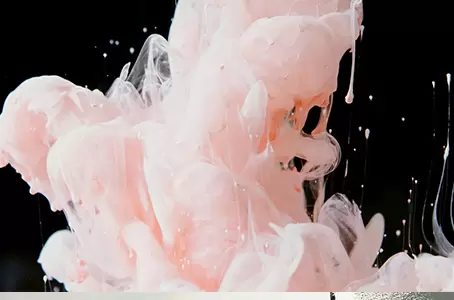 汇聚能量，智防未来&mdash;&mdash;保立佳防水行业盛会行
